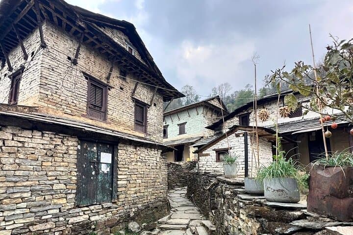 4-Day Mardi Himal Trek: Pokhara to Base Camp via Forest & High Camp photo 6