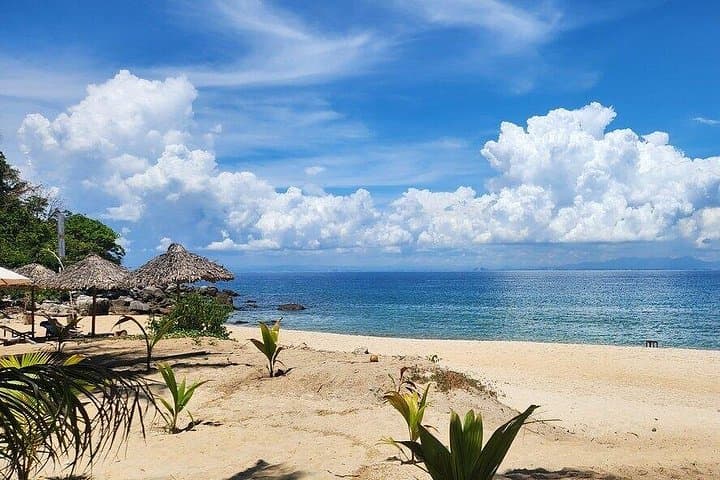 Cham Island Snorkeling Day Trip from Hoi An & Da Nang — Cu Lao Cham Marine Reserve photo 4