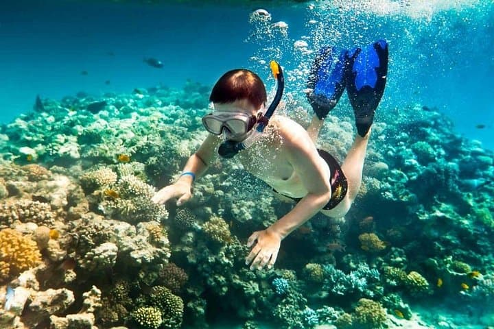 Cham Island Snorkeling Day Trip from Hoi An & Da Nang — Cu Lao Cham Marine Reserve photo 1