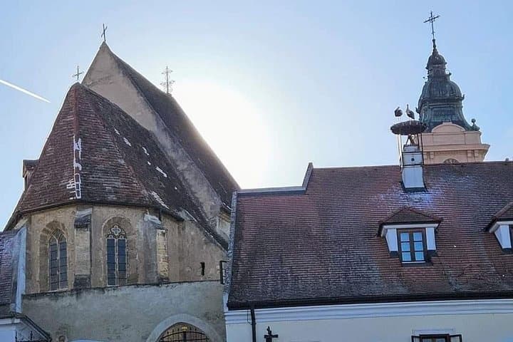 Private Neusiedler See Wine Tour from Vienna — Rust, Purbach & Podersdorf photo 4