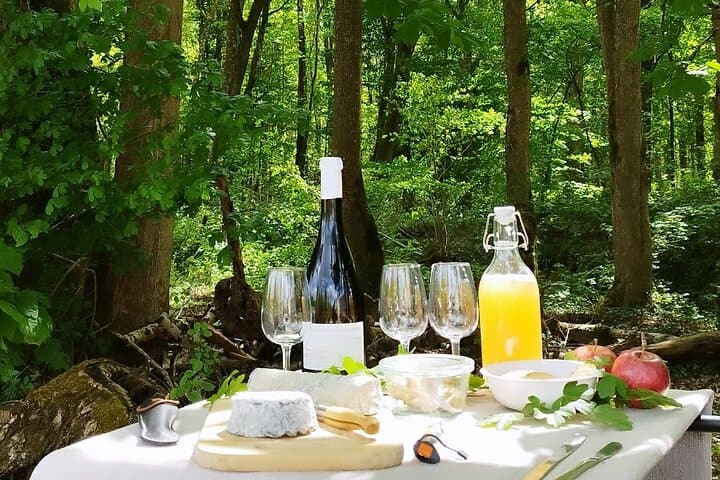 E-Bike to Chateau de Chenonceau: Loire Valley Picnic & Guided Tour photo 3