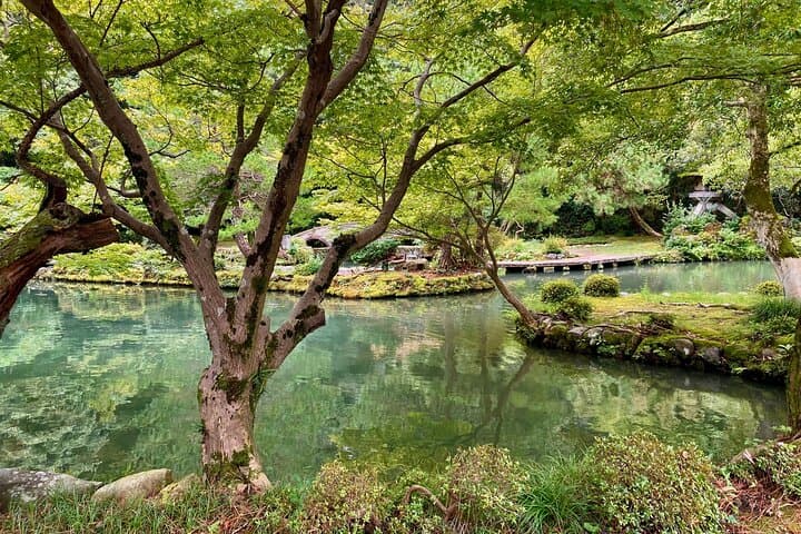Kanazawa Garden Exploration: Private Walking Tour of Kenrokuen, Gyokusen-en & Samurai Gardens photo 4