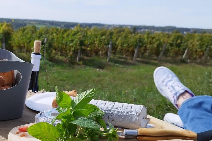 E-Bike to Chateau de Chenonceau: Loire Valley Picnic & Guided Tour photo 6