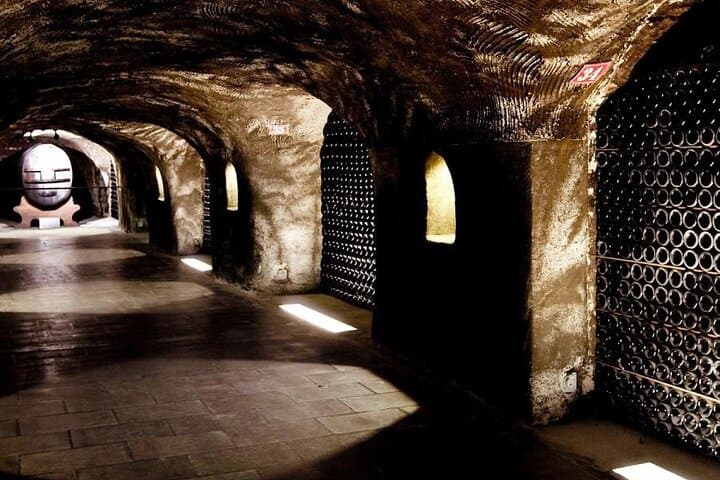 Day Trip to Champagne and Reims: Private Minivan Tour from Paris photo 6