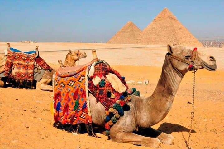 Sharm El Sheikh to Cairo by Plane — Private Full-Day Cairo Highlights photo 4