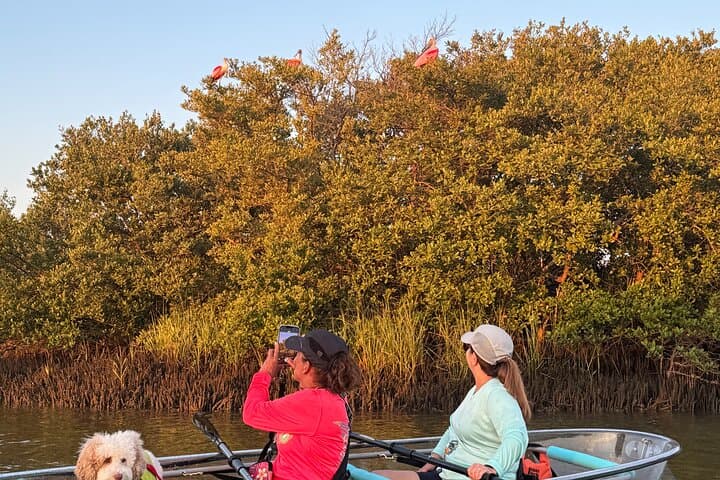 Experience the Magic of St Augustine Lighthouse on a Sunset Glow Kayak Tour photo 6