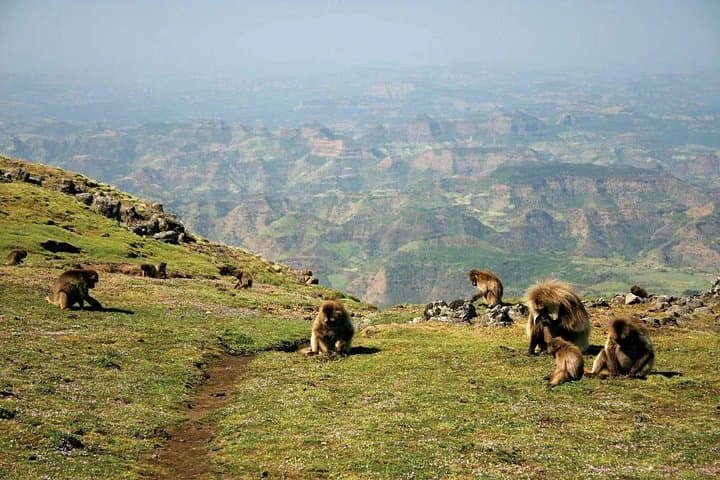 Simien Mountains Ultimate 3-Day Trek: Sankaber, Jinbar Falls & Imet Gogo photo 2