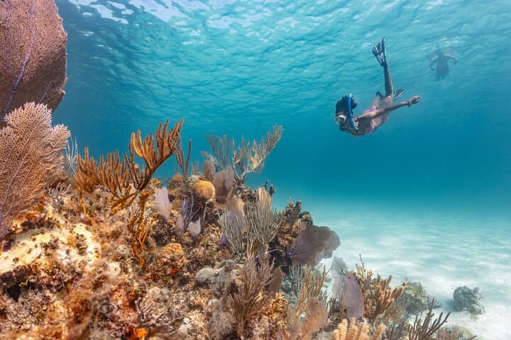Private Nassau Boat Tour: Swimming Pigs, Snorkel Reefs & Lunch on Rose Island photo 6