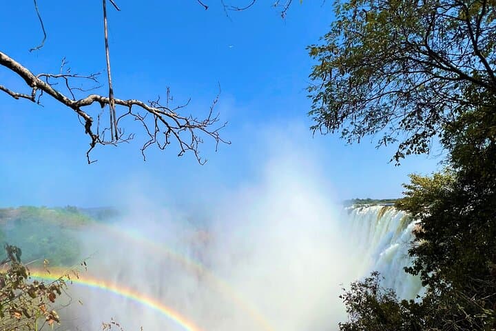 Kasane to Victoria Falls Day Trip through Hwange Reserve photo 6