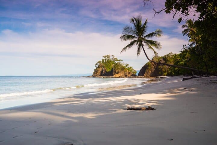 Punta Leona Beach Day: Snorkel, Crocodile Viewing & Tropical Trails from San José photo 4