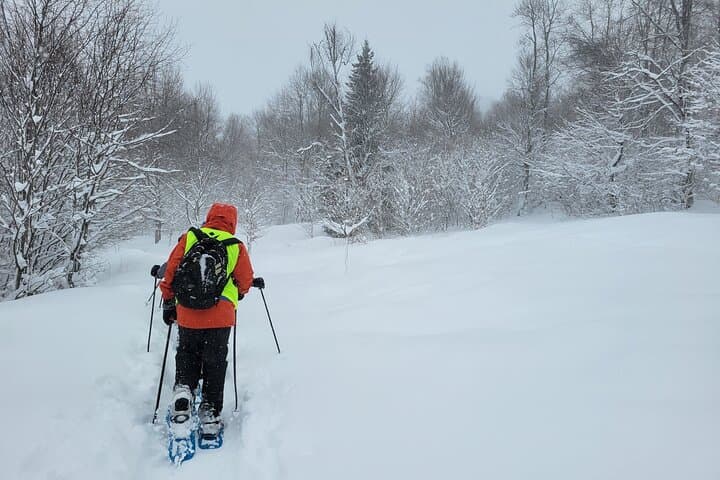 Snowshoeing Bakuriani: Winter Hikes Through Pine Forests & Village Ruins photo 3