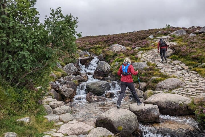 Cairngorms Discovery Walks: Private Guided Hikes from Aviemore to Loch Morlich photo 4