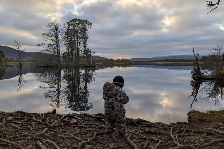 Cairngorms Discovery Walks: Private Guided Hikes from Aviemore to Loch Morlich photo 6
