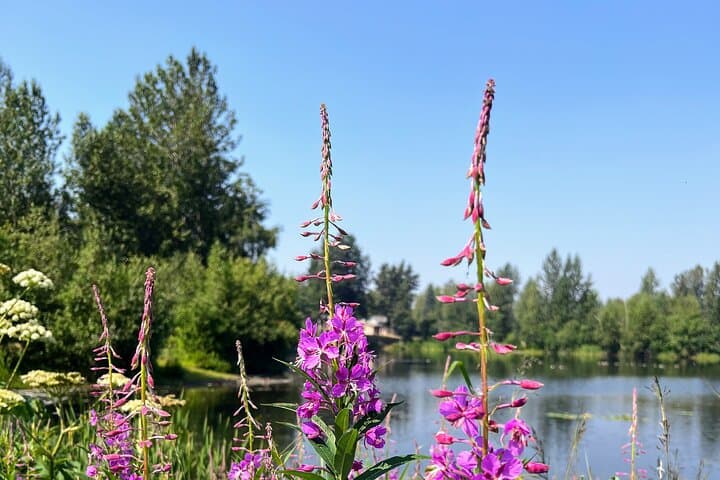 Explore Anchorage’s Greenbelt: The Ultimate Urban Bike Loop Adventure photo 4