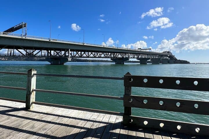 Private Ports of Auckland Highlights Transfer — Scenic Cruise-Terminal Drive to Auckland Airport photo 5