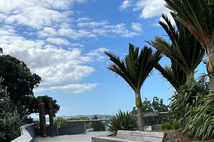 Private Ports of Auckland Highlights Transfer — Scenic Cruise-Terminal Drive to Auckland Airport photo 6