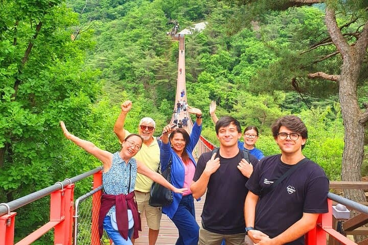 DMZ Small-Group Tour from Seoul with North Korean Defector — Imjingak, Tunnel & Dora Observatory photo 3