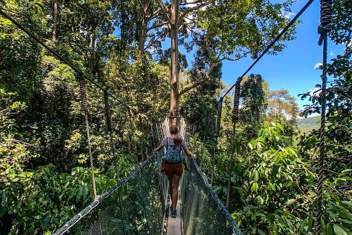 Kinabalu Park to Poring Hot Springs: Canopy Walks, Dairy Views & Sulphur Baths photo 4