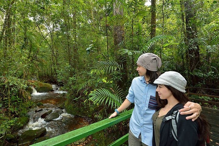 Kinabalu Park to Poring Hot Springs: Canopy Walks, Dairy Views & Sulphur Baths photo 2