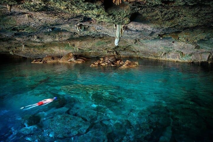 Snorkeling Kealakekua Bay: Explore Dolphins, Sea Caves & Captain Cook Monument photo 3