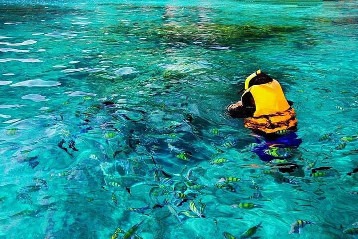 Snorkeling Kealakekua Bay: Explore Dolphins, Sea Caves & Captain Cook Monument photo 6