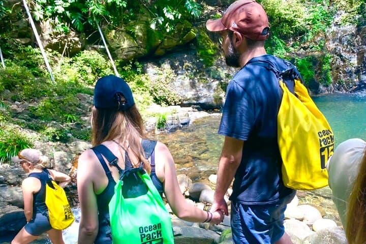 Bach Ma National Park Day Trek from Hue via Hai Van Pass photo 3