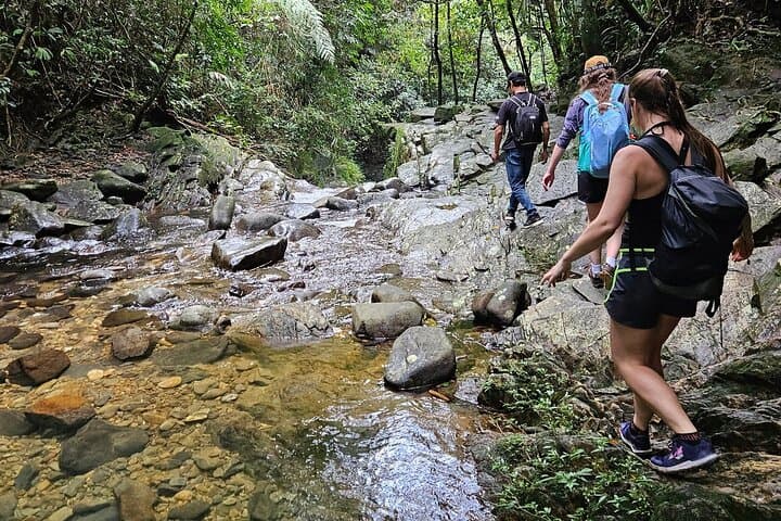 Bach Ma National Park Day Trek from Hue via Hai Van Pass photo 6
