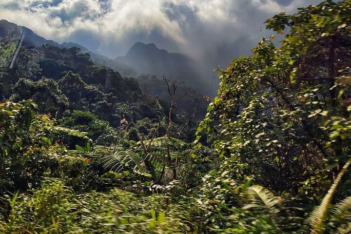 Bach Ma National Park Day Trek from Hue — Summit Hike, Waterfalls & Five Lakes photo 3