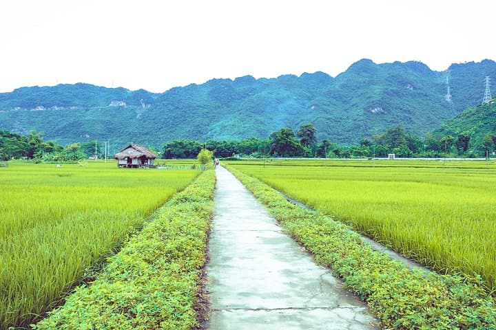 Mai Chau One-Day Biking Trip From Hanoi — Thung Khe Pass & Thai Villages photo 4