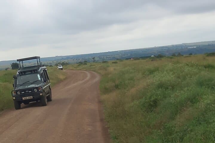 Half Day Nairobi National Park Safari: Urban Wilderness at Kenya’s Doorstep photo 4
