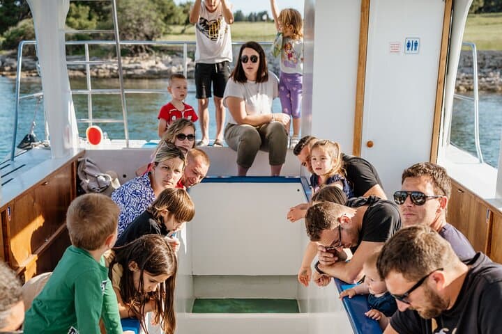Glass-Bottom Boat Tour to Brijuni & St. Jerolim from Fažana photo 2