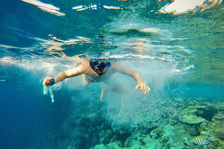 Hurghada Dolphin Watching Cruise: Snorkeling, Lunch & Red Sea Wildlife photo 2