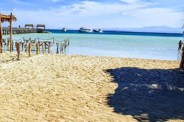 Hurghada Dolphin Watching Cruise: Snorkeling, Lunch & Red Sea Wildlife photo 3