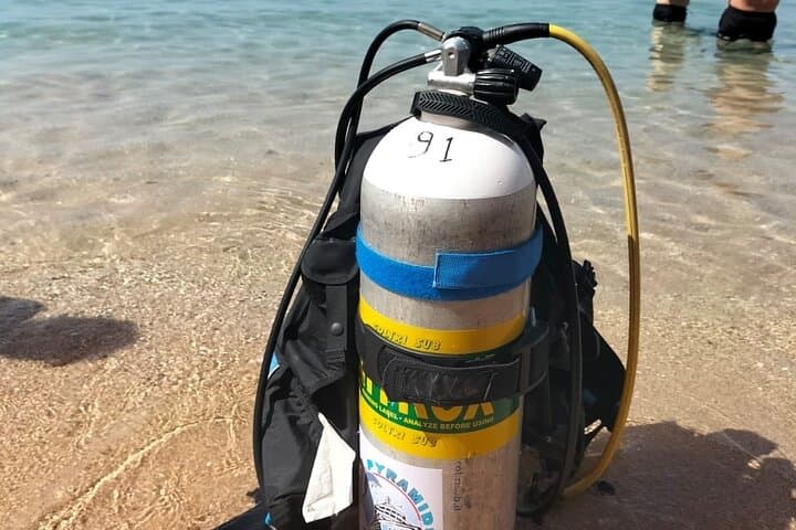 Discover Scuba Diving in Sharm el-Sheikh — PADI DSD Red Sea Intro photo 4