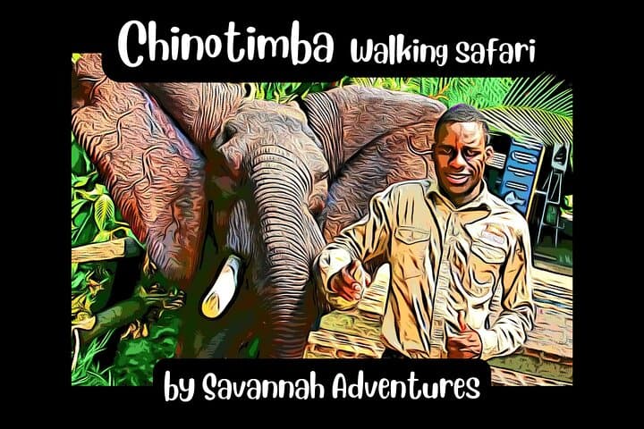Chinotimba 4x4 Township Tour — Safari-Style Guided Drive in Victoria Falls