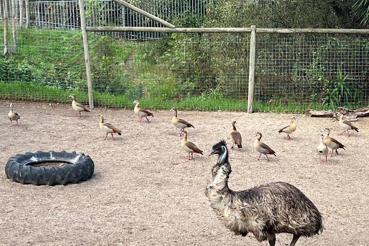 Cape Town Full-Day: Bo-Kaap, Seal Island, World of Birds & Constantia Wine Tasting photo 5