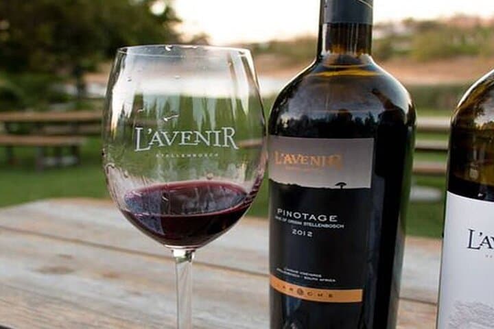 Giraffes, Cheetahs & Cape Wines: Full-Day Wildlife and Winelands Tour from Cape Town photo 4