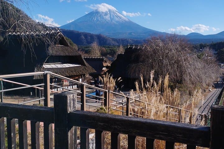 Private Mt Fuji Day Trip from Tokyo: Lake Kawaguchi, Chureito Pagoda & Ropeway