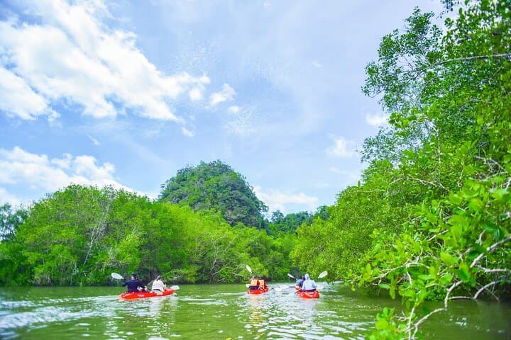 Half-Day Bor Thor Mangrove Kayak Tour from Krabi — Caves, Ancient Paintings & Wildlife photo 2