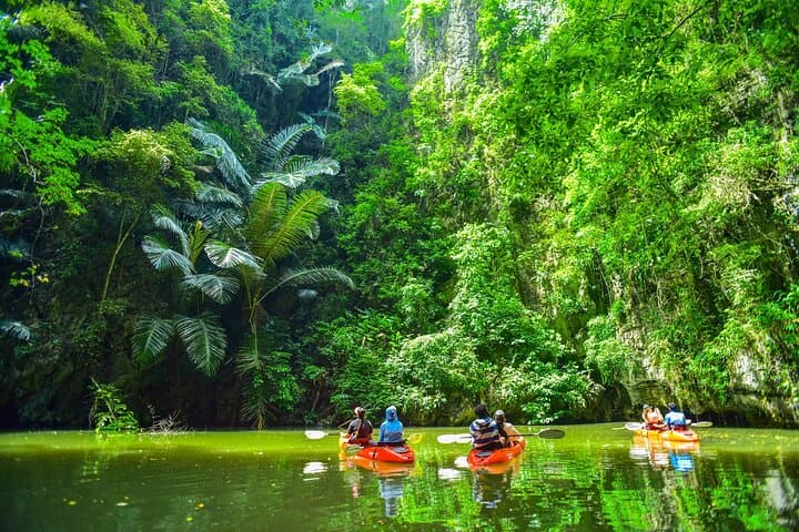 Half-Day Bor Thor Mangrove Kayak Tour from Krabi — Caves, Ancient Paintings & Wildlife photo 3