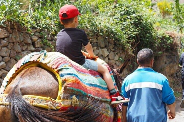 Marrakesh to the Atlas: Waterfalls, Berber Villages and a Guided Hike photo 2
