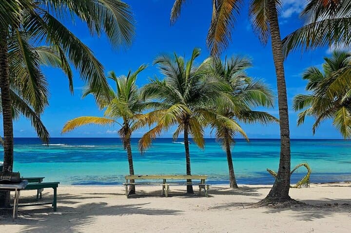 Saona Island Trimaran Day Trip — Small-Group Excursion from Bayahibe photo 3