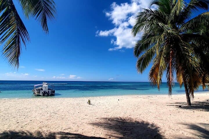 Saona Island Trimaran Day Trip — Small-Group Excursion from Bayahibe