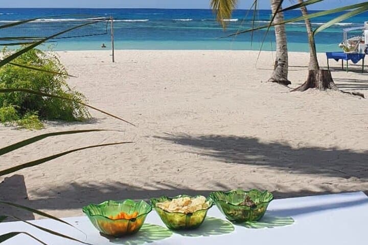 Saona Island Trimaran Day Trip — Small-Group Excursion from Bayahibe photo 5