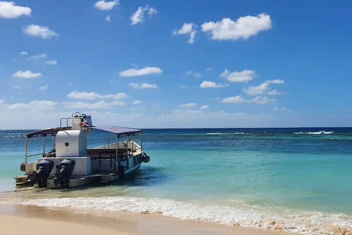 Saona Island Trimaran Day Trip — Small-Group Excursion from Bayahibe photo 6