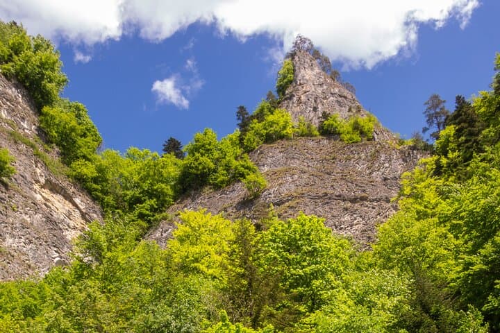 Dunajec River Rafting and Czorsztyn Castle Day Trip from Krakow photo 6