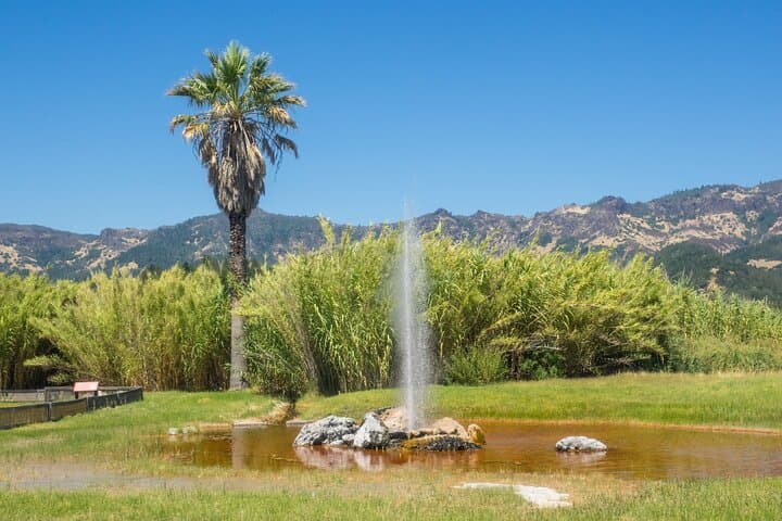 Self-Guided Napa Valley & Sonoma Audio Driving Tour: 76-Mile Wine Country Route photo 4