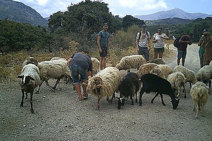 Crete Quad Safari: 5-Hour Off‑Road Adventure Through Olive Groves, Monasteries & Sea photo 4