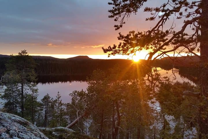 Midnight Sun Hike in Riisitunturi National Park — Summer Night Walk in Finnish Lapland