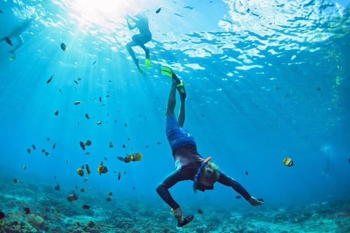 Private Key West Snorkel Charter: Reefs, Wrecks & Sandbar Stops